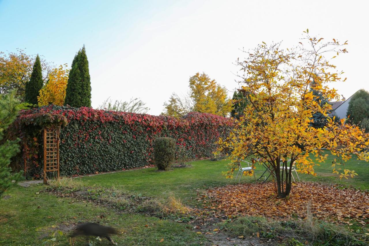 Villa Umberti Сибиу Екстериор снимка